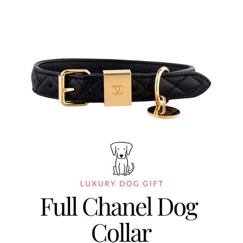 collar chanel original|full Chanel dog collar reviews.